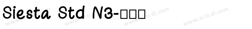 Siesta Std N3字体转换